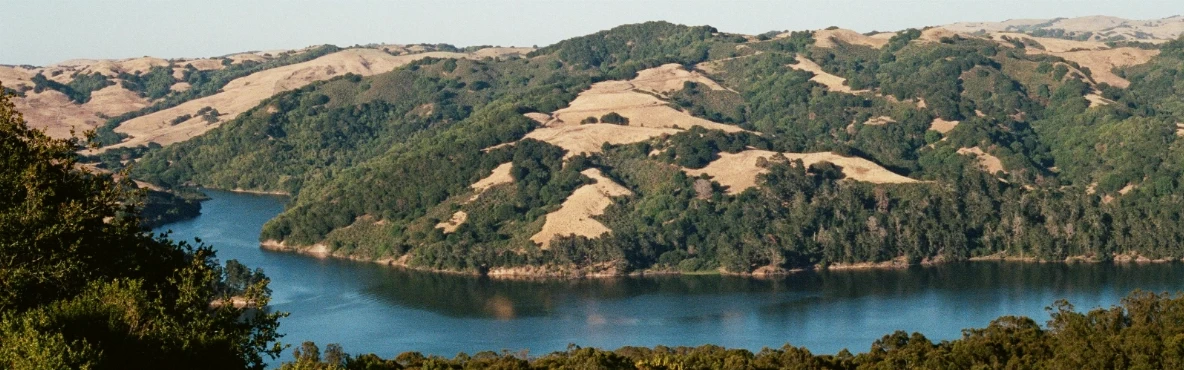 Attractions in Berkeley CA