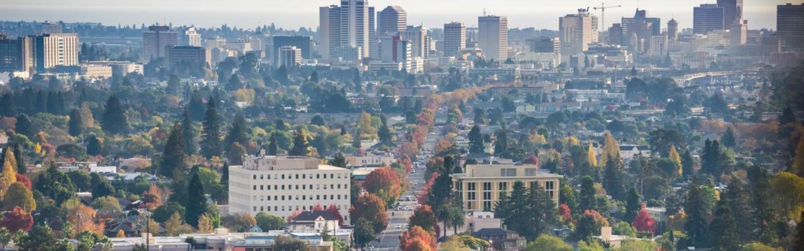 What To Do In Berkeley, CA for First Timers?