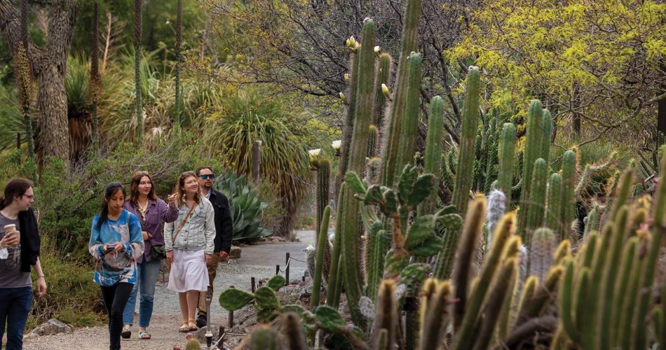 ¿Qué hacer en Berkeley, CA para los que visitan por primera vez?