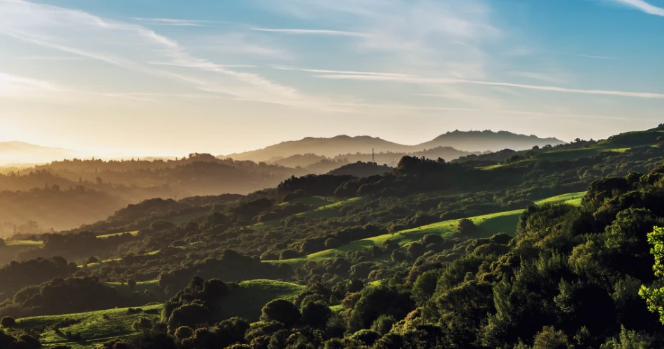 ¿Qué hacer en Berkeley, CA para los que visitan por primera vez?