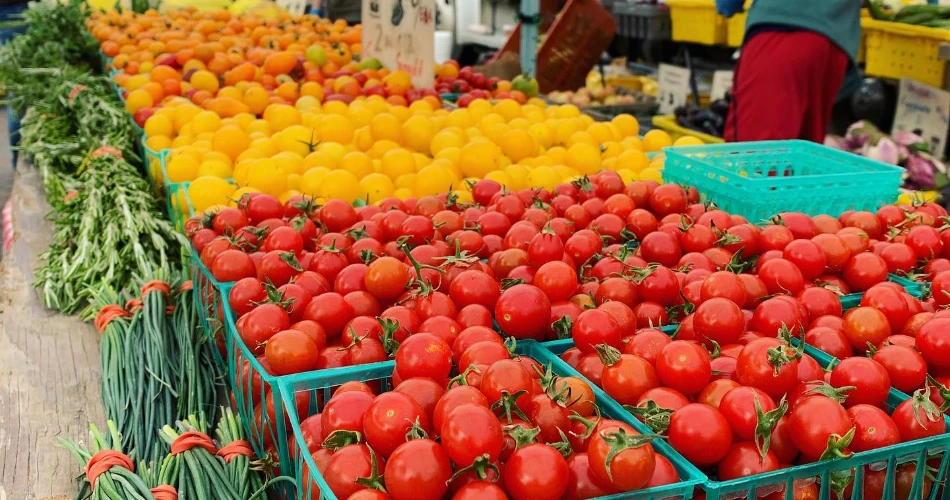 48 Hours in Berkeley, CA: Where to Eat, What to Do During Your 2-Day Visit