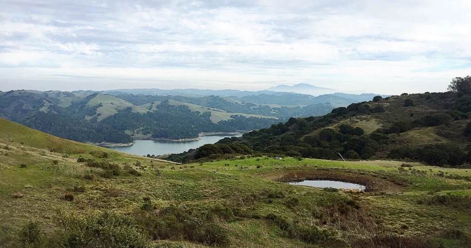 48 Hours in Berkeley, CA: Where to Eat, What to Do During Your 2-Day Visit