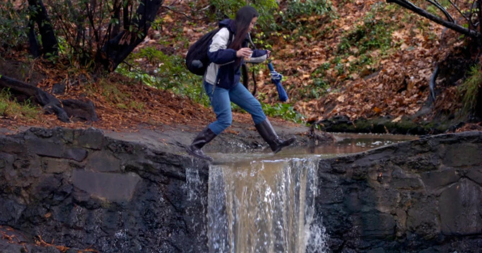 48 Hours in Berkeley, CA: Where to Eat, What to Do During Your 2-Day Visit