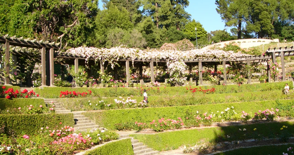 20 Best Attractions in Berkeley, California