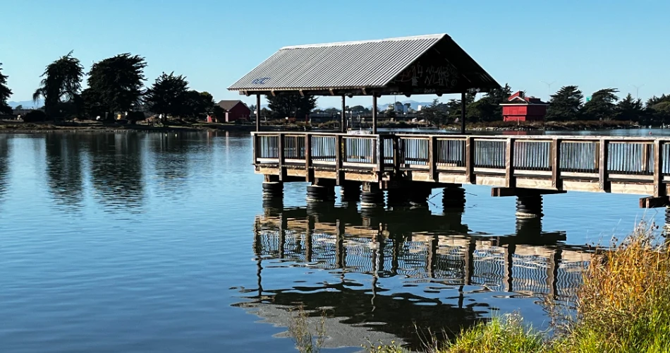 20 Best Attractions in Berkeley, California