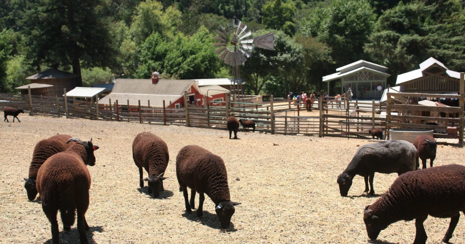 20 Best Attractions in Berkeley, California