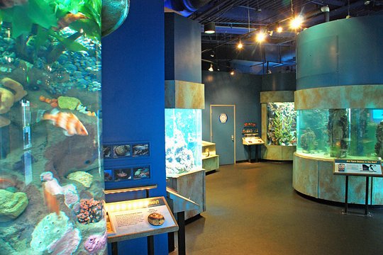 Tour image 7