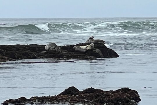 Tour image 6